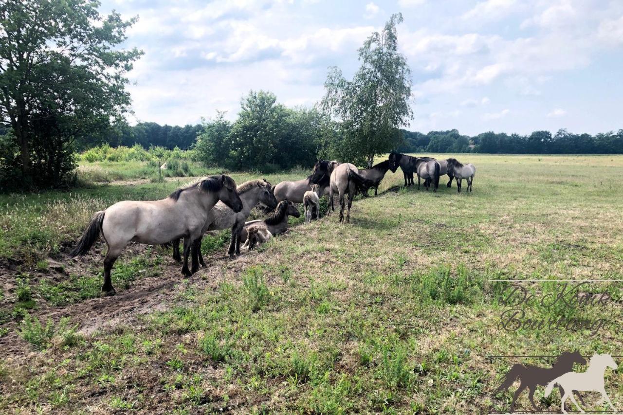 B&B De Konik Bourtange Esterno foto